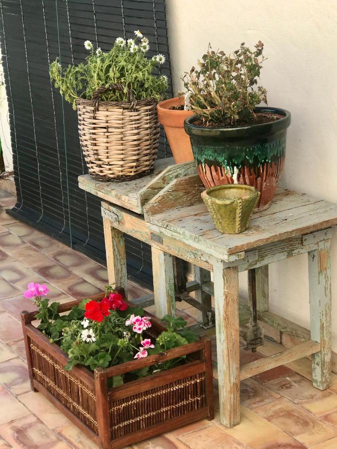 منزل الضيف Margarida  في Al-Qandil المظهر الخارجي الصورة